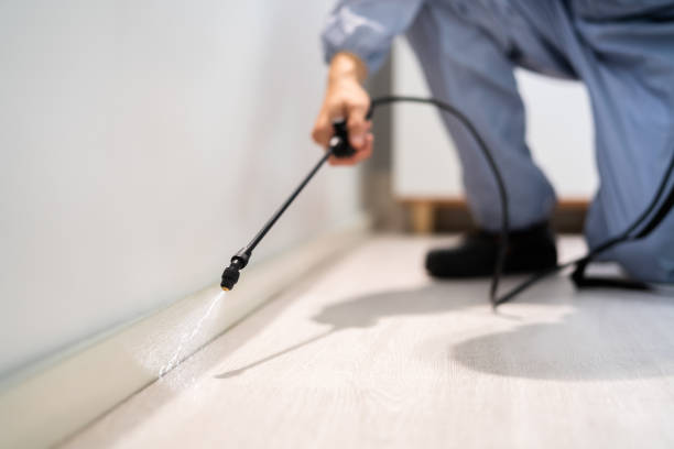Licensed Cockroach Control service in Diamond Ridge, AK - Nex Pest Control