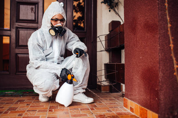 Reliable Cockroach Control contractor in Diamond Ridge, AK by Nex Pest Control