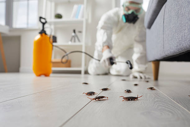 Trusted Termite Control service in Diamond Ridge, AK - Nex Pest Control